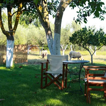 Spasmeni Vrisi アパート