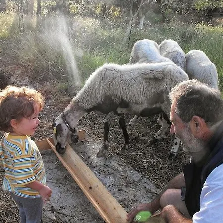 Spasmeni Vrisi Lygia (Lefkada)