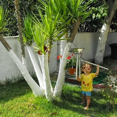 Apartment Spasmeni Vrisi Lygia (Lefkada)