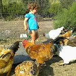 Spasmeni Vrisi