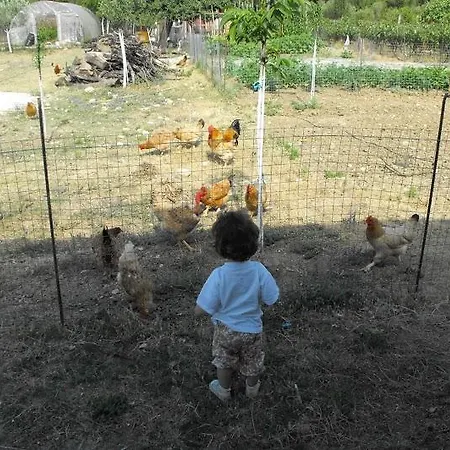 Lejlighed Spasmeni Vrisi *